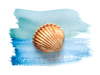Image showing sea shell on watercolor paint