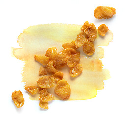 Image showing corn flakes on watercolor paint