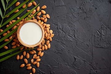 Image showing Amond seeds with bowl of fresh natural milk placed on black stone background