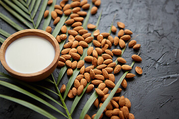 Image showing Amond seeds with bowl of fresh natural milk placed on black stone background