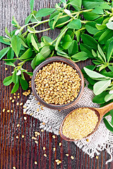 Image showing Fenugreek in spoon and bowl with green leaves on board top