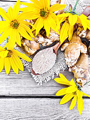 Image showing Flour of Jerusalem artichoke in spoon on burlap top