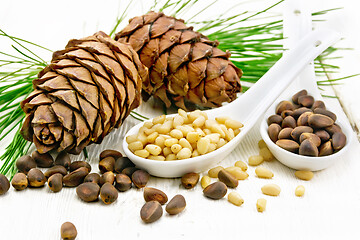 Image showing Cedar nuts in two spoons on light board