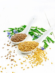 Image showing Flaxen white and brown in two spoons on light table