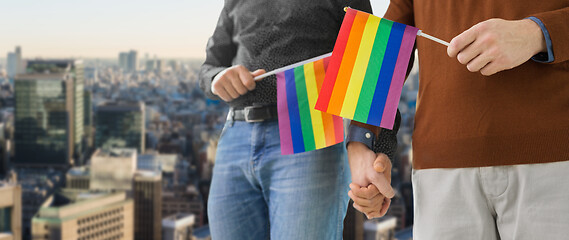 Image showing male couple with gay pride flags holding hands