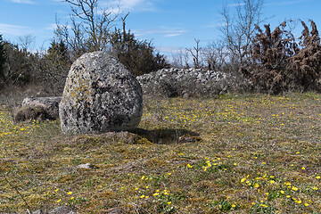 Image showing Iron age burial site