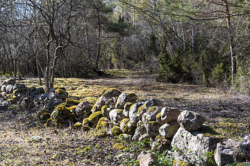 Image showing Beautiful mossy old dry stone wall