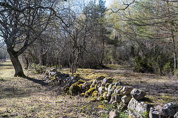 Image showing Mossy old traditional dry stone wall