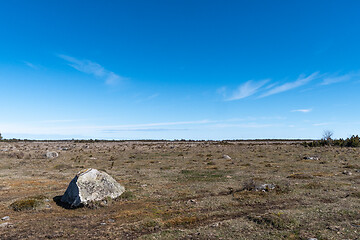 Image showing Great plain grassland by blue skies