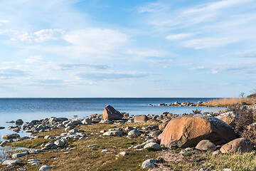 Image showing Stony coastline in spring season