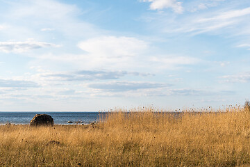 Image showing Seaside view with reeds and a big stone