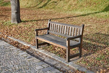 Image showing Autumn leaves on bench