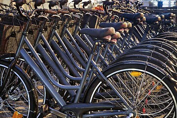 Image showing Bicycles in a row