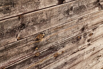 Image showing Wooden Lumber Surface