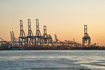 Image showing Container Dock in Rotterdam