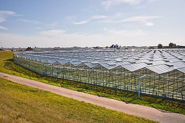 Image showing Greenhouse agricultural production