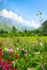 Image showing Durmitor National park