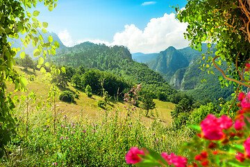 Image showing Summer day in National park