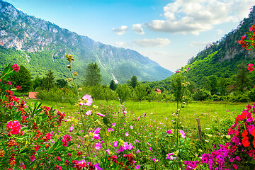 Image showing National park Montenegro