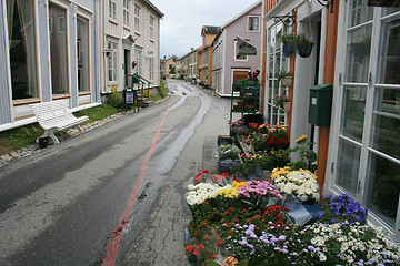 Image showing Flowers for sale