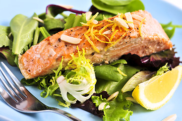 Image showing Salad with grilled salmon