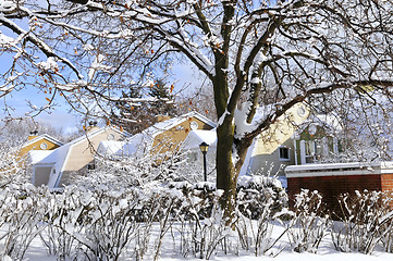 Image showing Winter street