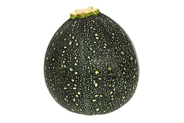 Image showing Round zucchini on white