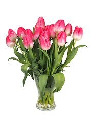 Image showing Bunch of tulips