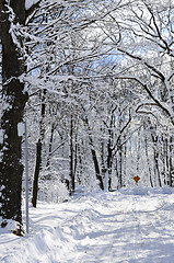 Image showing Winter street