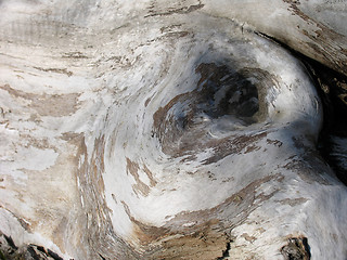 Image showing Old Wood Texture