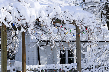 Image showing Front yard of a house in winter