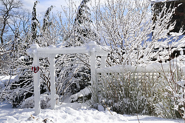 Image showing Front yard of a house in winter