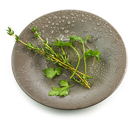 Image showing herbs on wet plate