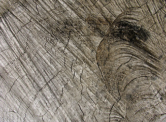 Image showing Old Wood Texture