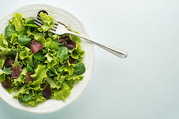 Image showing Green lettuce salad