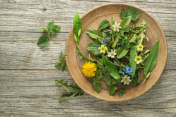 Image showing Spring plants food