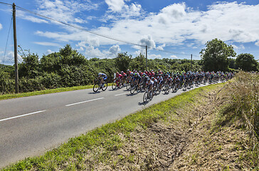 Image showing The Peloton - Tour de France 2016