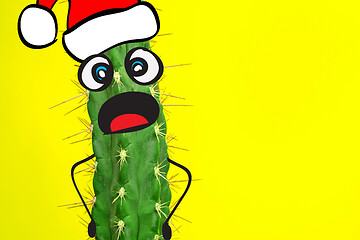 Image showing Cactus hipster man with santa hat. Tropical Christmas concept. Minimal fun art