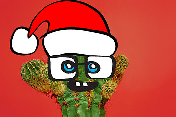 Image showing Cactus hipster man with santa hat. Tropical Christmas concept. Minimal fun art