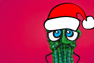 Image showing Cactus hipster man with santa hat. Tropical Christmas concept. Minimal fun art