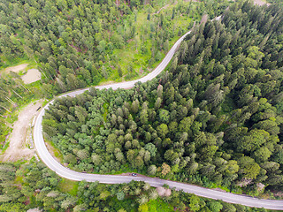 Image showing Forest road in summer, up view