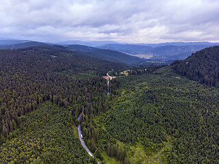 Image showing Road through green forest, aerial view