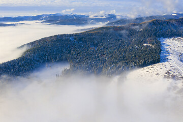 Image showing Misty forest hill in the morning