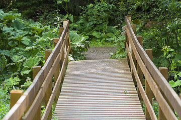 Image showing Wood bridge in forest