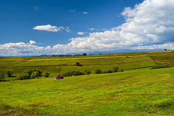 Image showing Rural summer landscape