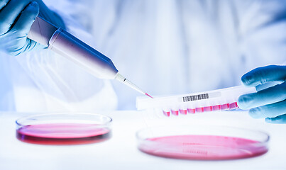 Image showing Detail of scientist working in the corona virus vaccine development laboratory research with a highest degree of protection gear.