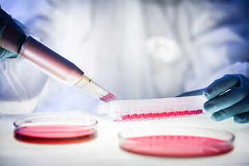 Image showing detail of scientist working in the corona virus vaccine development laboratory research with a highest degree of protection gear.