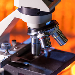 Image showing Close up of microscope lenses focused on a specimen in warm orange light light.