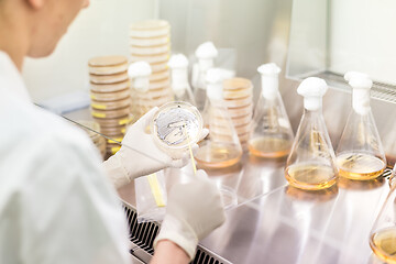 Image showing Female scientist working with laminar flow at corona virus vaccine development laboratory research facility.