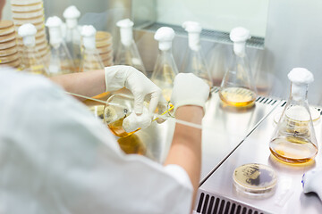 Image showing Female scientist working with laminar flow at corona virus vaccine development laboratory research facility.